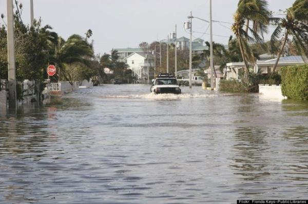 Wilma Kasrgas - 2005