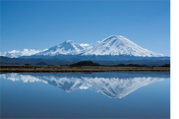 ili  Rvet verme oran yzde 10.