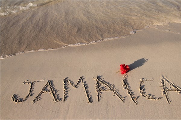 Jamaika:Rvet verme oran yzde 12