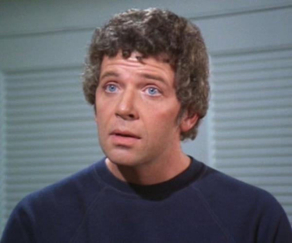Mike Brady, The Brady Bunch