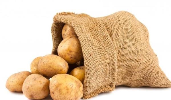 Patates sebze deil ekmek grubunda yer alan bir besindir.