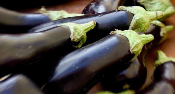 Bu zellii ile barsak sisteminin dzenli almasn salar.