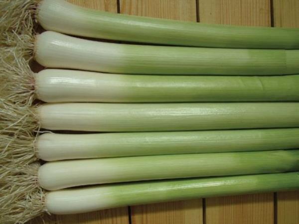 Yani k aylarnda hastalklara yakalanma riskini azaltr.