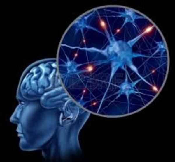 15-19 Puan: Beyin yanz gerek yanzla eit. Hafif de olsa Alzheimer riskiniz var. 'Hayr' cevabn verdiiniz sorular kontrol edin ve bundan bu konulara zen gsterin.