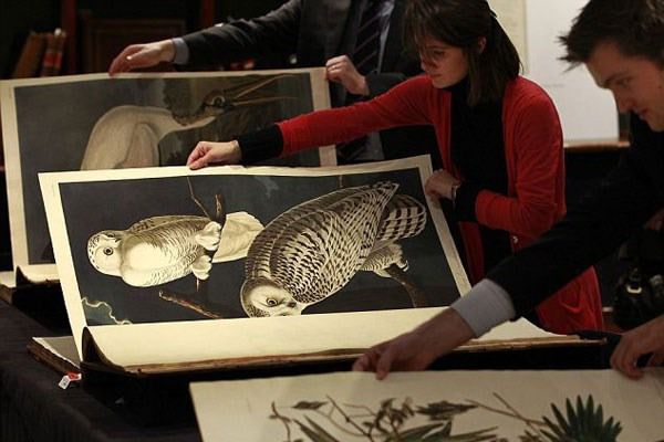 <br><b>7. Birds of America John James Audubon</b></br>  1820'lerde 100'lerce el yazmas kitap retildi. Londral sanat tccar Michael Tollemache satn ald. Deeri 12,6 milyon dolar.