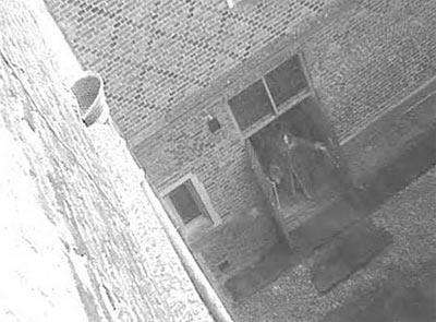 21 ARALIK 2003'TE CHCAGO SUN TMES'DA YAYINLANAN BR FOTORAF. BURASI 8. HENRY'NN YAADII 1925'DE YAPILAN SARAY. LONDRA'NIN MERKEZNE 10 MLLK MESAFEDE? PEK KAPIDAN IKAN KM? KRALIN 3. KARISI JANE SEYMOUR. OLUNU DOURURKEN BU SARAYDA LMT.