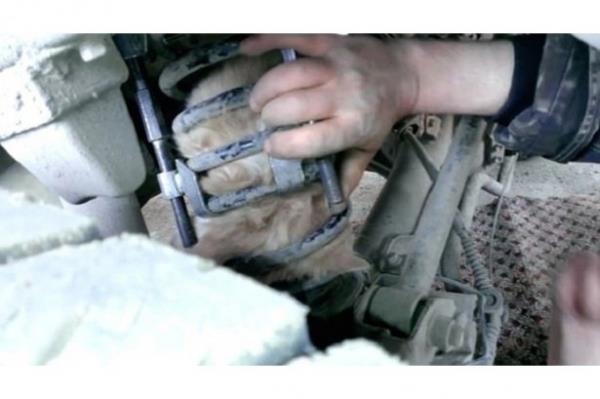 Aracndan gelen miyavlama seslerine dikkat kesilen Vitaliy Bouranin, sspansiyonuna skm kediyle karlat.