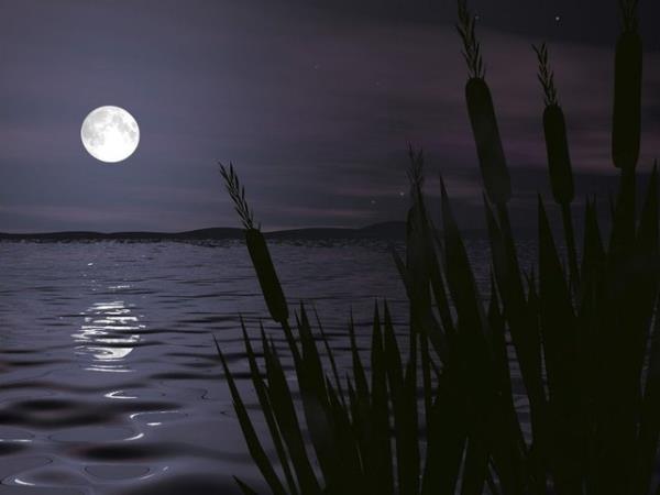 3. Gece saat sekizde yatyorum ve yatarken guguklu saatimi sabah dokuza kuruyorum ka saat uyurum?