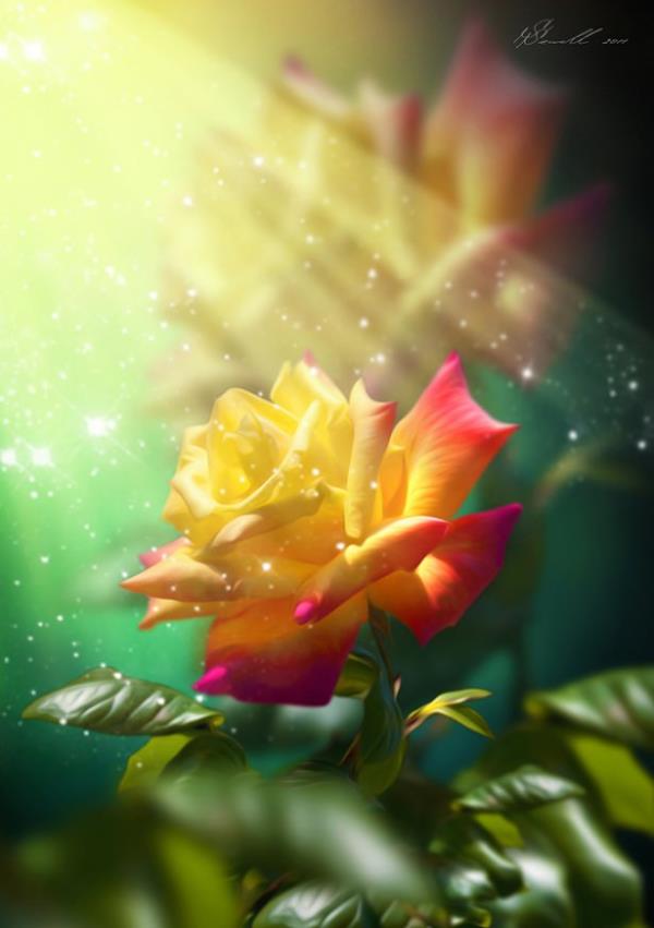 <br>Kadn?</br>  <br>Ad Fatma olan?</br>  <br>Gln gl?</br>  <br>Babasnn annesi?</br>  <br>Seilmi kadnlarn drdncs?</br>  <br>Peygamber ocann hi kesilmeyecek bereketi? </br>