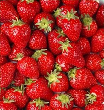 ilek stresin etkisini azaltr.