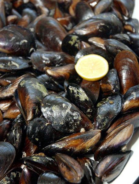 <b>KABUKLU DENZ RNLER:</b> Doru ekilde temizlenmeyen kabuklu deniz rnleri barsak hastalklarna yol ayor