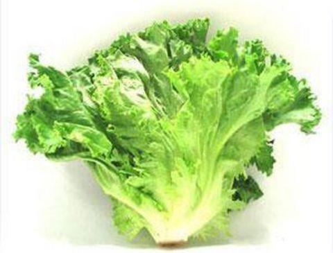 <b>YELLK:</b> Ispanak, roka, marul, lahana, kvrck salata gibi yeillikler iyi ykanmadnda barsak bakterilerine davetiye karyor. Bu nedenle bu besinlerin ocuklara verilmeden nce ok iyi ykanmas gerekiyor