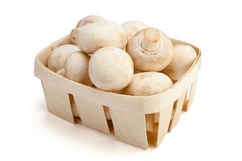 <b>MANTAR:</b> Bu bitkinin yabani olanlar, zehirlenmelere, halsinasyonlara hatta lme neden oluyor.