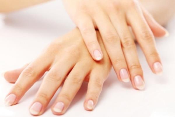 Kadnlarn yumuak ve mis kokulu elleri erkekler iin vazgeilmezler arasndadr. Ellerinizin her zaman bakml ve mis kokulu olmasna dikkat edin.