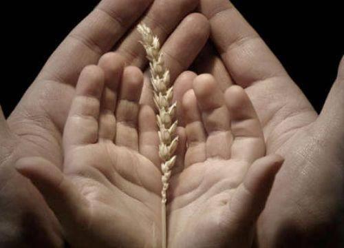 <b>10. Gnn Duas:</b> "Allahummec'aln fhi min'el-mutevekkilne aleyke, vec'alni fhi min'el-faizne ledeyke, vec'aln fhi min'el-mugarrabne ileyke, bi-ihsanike ya ayet'et-talibn." Anlam: Allah?m! Bu gnde beni sana tevekkl edenlerden, sana gre saadete erienlerden ve sana yaknlaan kimselerden kl; ihsannla ey arayanlarn en byk talebi!