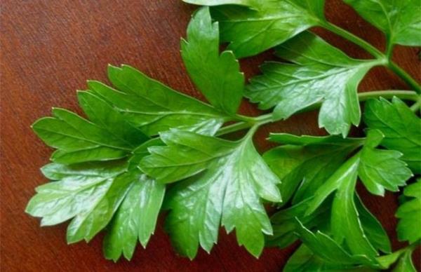 <br><b>5-Her gn 5-10 dal maydanoz tketin </b></br>  Yemeklerin yannda saplaryla birlikte tketilecek 5-10 dal (20 gram) maydonoz, kiinin gnlk C vitamini gereksiniminin te birini, beta karoten ihtiyacnn ise yzde 10'unu karlyor.