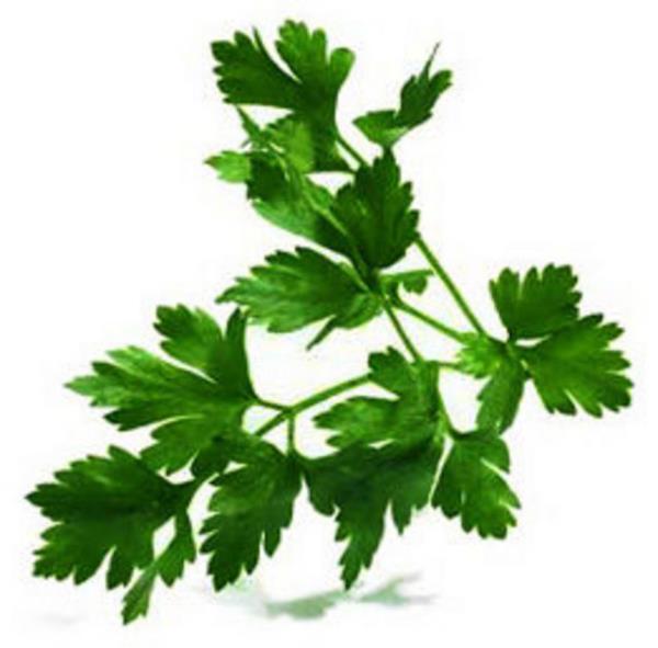 Taze maydanoz ve naneyi azda ineyiniz.