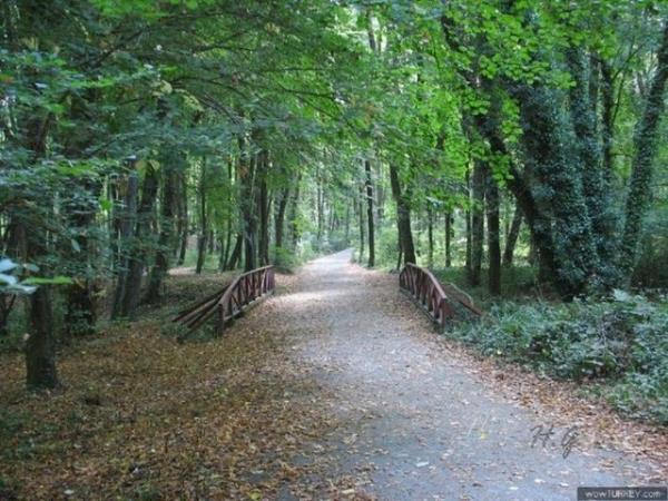 Tersine ar hareketsiz kaldysanz temiz havaya kn ve biraz hafif yry yapn; rahatlayacaksnz.