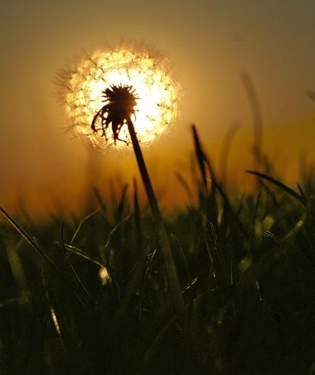 "Onlar orada ne bo bir lakrt, ne de yalan iitirler." Nebe 35, aiye 11, Meryem 19