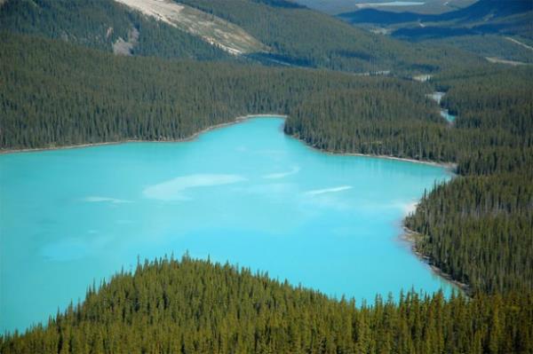 "Bozulmayan sudan, stten, araptan ve baldan rmaklar vardr." Muhammed 15