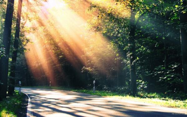 "Orann yemii ve glgesi sreklidir." Ra'd 35