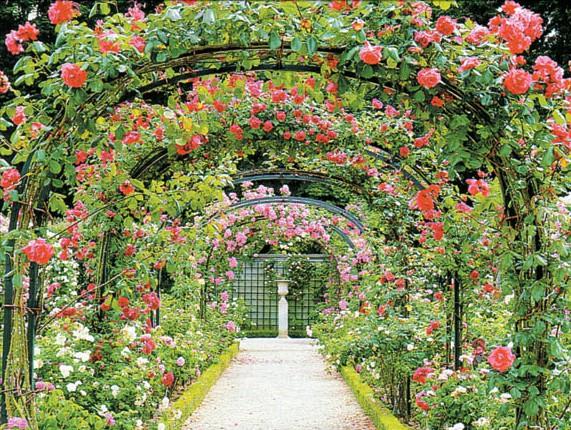 "Orada ne yakc scak grlr, ne de dondurucu souk." nsan 13