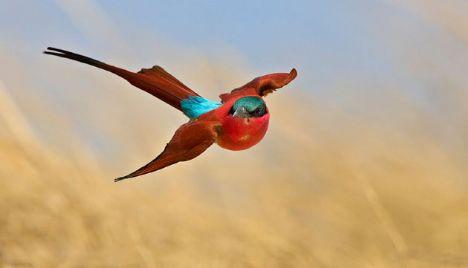 "Yiyecek ve iecekler altn tepsi ve kadehlerle sunulur." Zuhruf 71