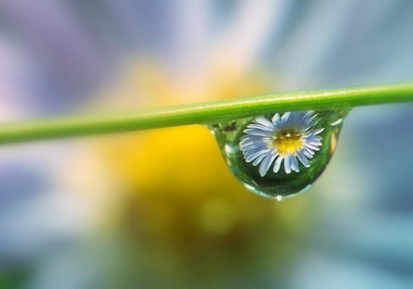 "Orada ehlinin canlarnn istedii ve gzlerinin holand her ey vardr." Zuhruf 71