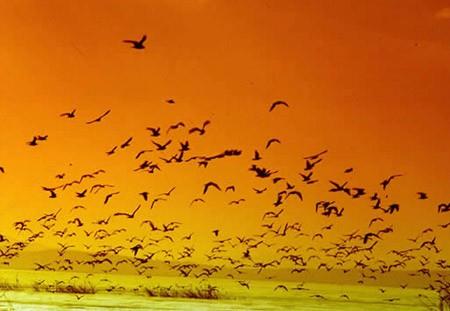 "Kalplerden kin sklp atlmtr." A'raf 43