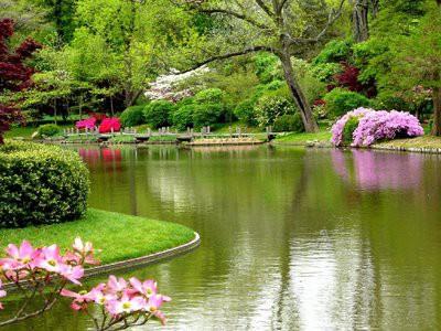 "Glgeleri ehlinin zerine sarkar, meyveleri de kolayca koparlacak ekildedir." nsan 14