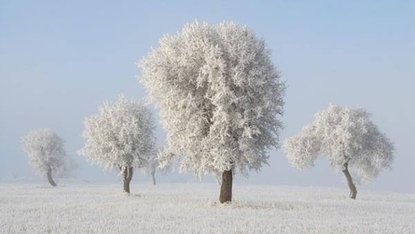 "...ncilerle sslenirler ve orada giyecekleri elbiseler de ince ipek ve parlak atlastandr." Hac 23, Fatr 33, Duhan 53