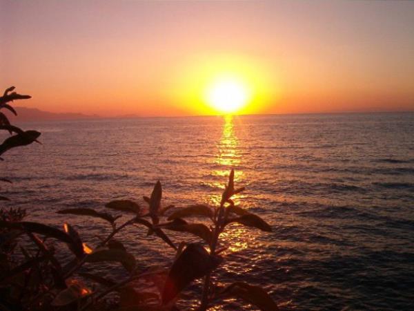 "Orada canlarnn istedii meyve ve etten bol bol verdik." Tur 22