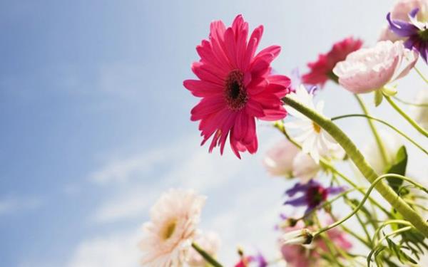 "evrelerinde, Main emelerinden doldurulmu testiler, ibrikler ve kadehlerle hizmet iin lmsz genler dolar." Vaka 17, 18