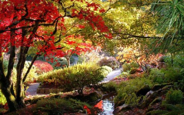 "alayarak akan sular vardr." Vaka 31