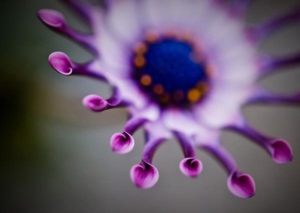 "..Onlar iin orada tertemiz eler vardr..." Nisa 57