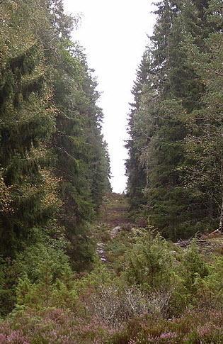 <br><b>Norve ve sve</b></br>  Yaz dneminde de iki lkenin snr byle grnyor.