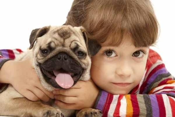 Hayvanlarla yaknlama ocuk geliiminde ok nemlidir, zellikle geliim sorunlarnda, diyor Beck.