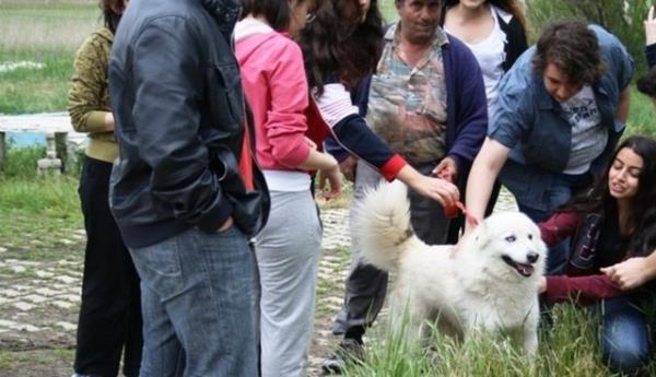 Tyl dostunuz size yeni insan arkadalar kazandrabilir.