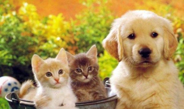 Ruh halinizi deitirir