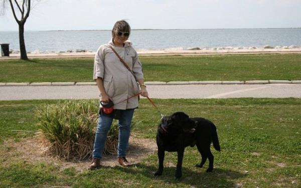 2.000 kiinin katld aratrmaya gre dzenli olarak kpek dolatranlar, kpei olmayan ve dolatrmayanlara gre daha az kilolu olma riski tayor.