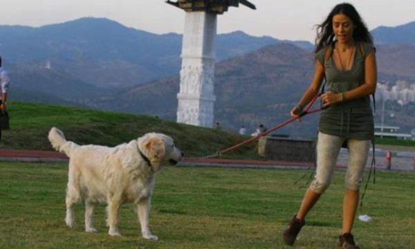 Kedi, hamster ya da iguanay dolatramazsnz belki ama yine de evcil havan olmayanlara gre daha fazla egzersiz yaptnz kesin.