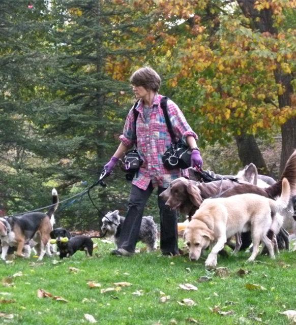 Onunla ilgilenmek, oynamak ve sarlmak da bir eit egzersiz saylr.