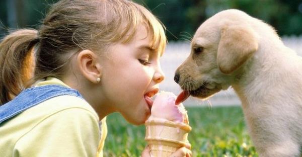 Evde ne kadar fazla evcil hayvan varsa ileride alerji olma riskleri de o kadar azalyor.