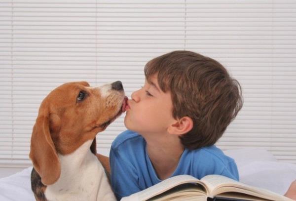 Bir evcil hayvana bakmak ocuklar cesaretlendirir zellikle dikkat eksiklii hiperaktivite bozukluu olan ocuklarn dikkatlerini toplamasn salar.