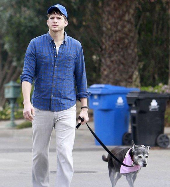 Kim kimi gezdiriyor? Aratrmalar kpeinizi gezdirmenin onun idrar kesesinin yannda size de faydal olduunu gsteriyor.