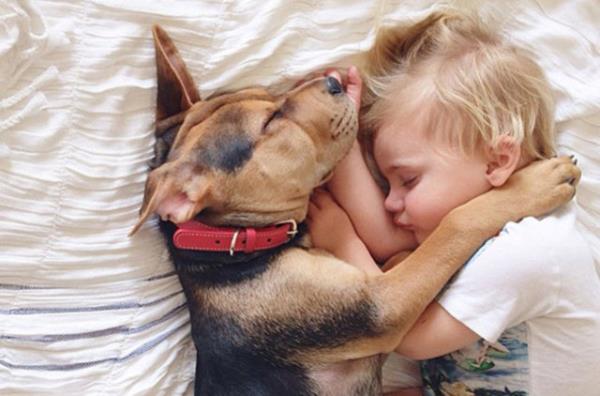 Bunun yannda Amerikan Psikiatri Vakf'nn yaynnda evcil hayvanlaryla konuan ocuklarn genelde kekelemedikleri ifade ediliyor.