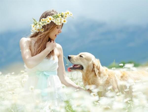 Diyabetlilerle yaayan evcil hayvanlarn 1/3? kpek, kedi, tavan ve hatta kular sahiplerinin glukoz seviyeleri dtnde dramatik davran deiiklikleri gsteriyor