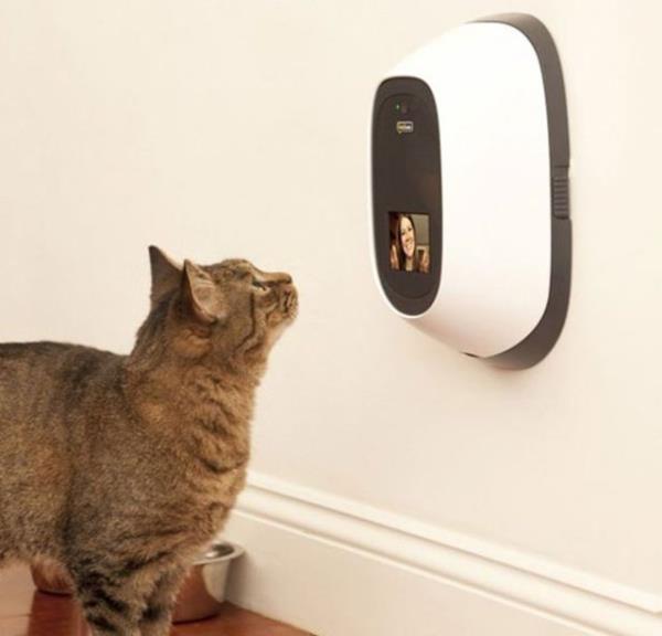 Evcil hayvan sahibi olmann kardiovaskler birok faydasnn yannda fiziksel aktivitenin artmas da kalbin ilevlerini gelitiriyor.