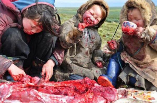 Rusya'nn kuzey dousunda yaayan eskimolarn farkl bir kesimi olan bu insanlar, avladklar hayvanlar i i yiyor.