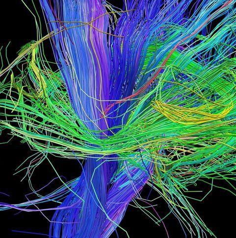 nsan beyninin bugne kadarki en ayrntl grntleri yaynland.